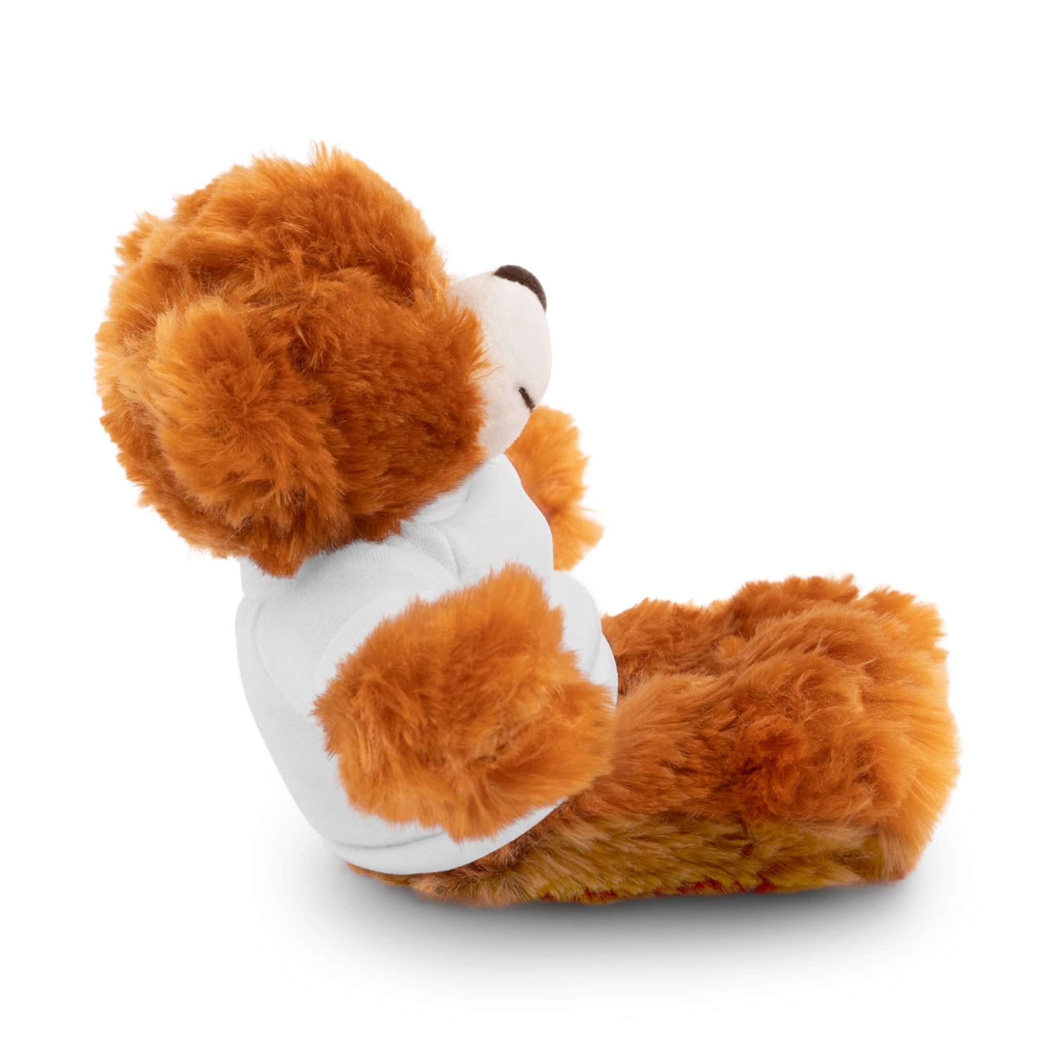 Customizable Stuffed Bear with Custom Tee