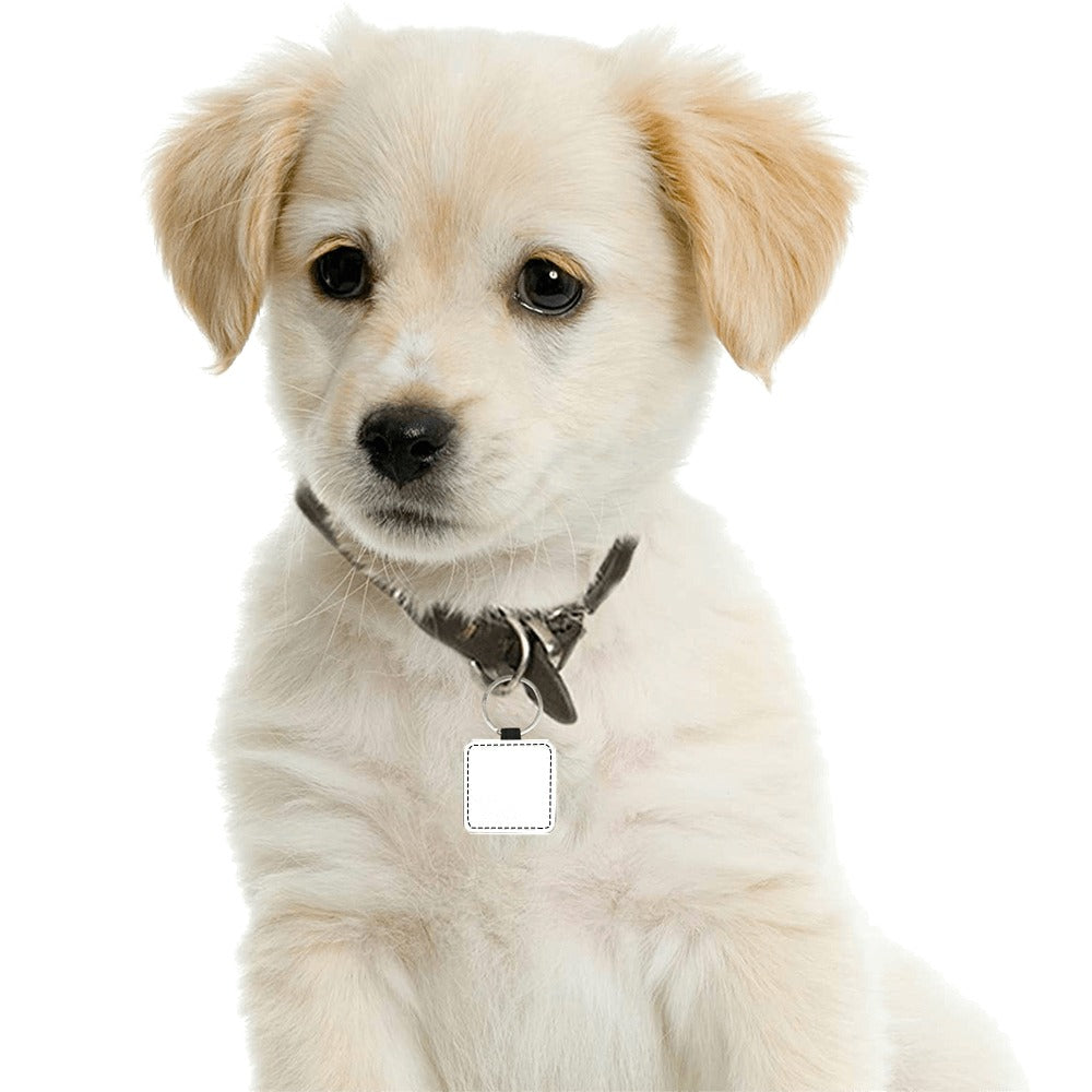 Customizable Square Pet ID Tag