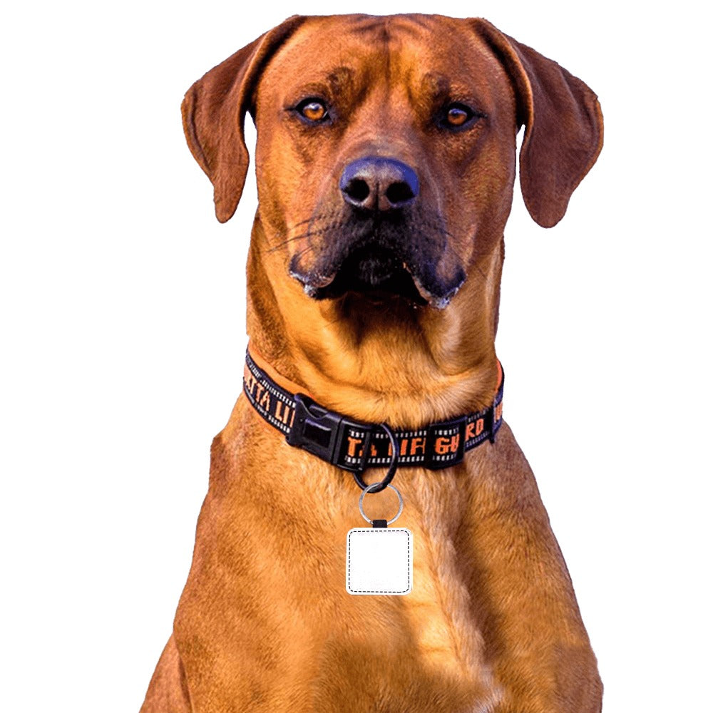 Customizable Square Pet ID Tag