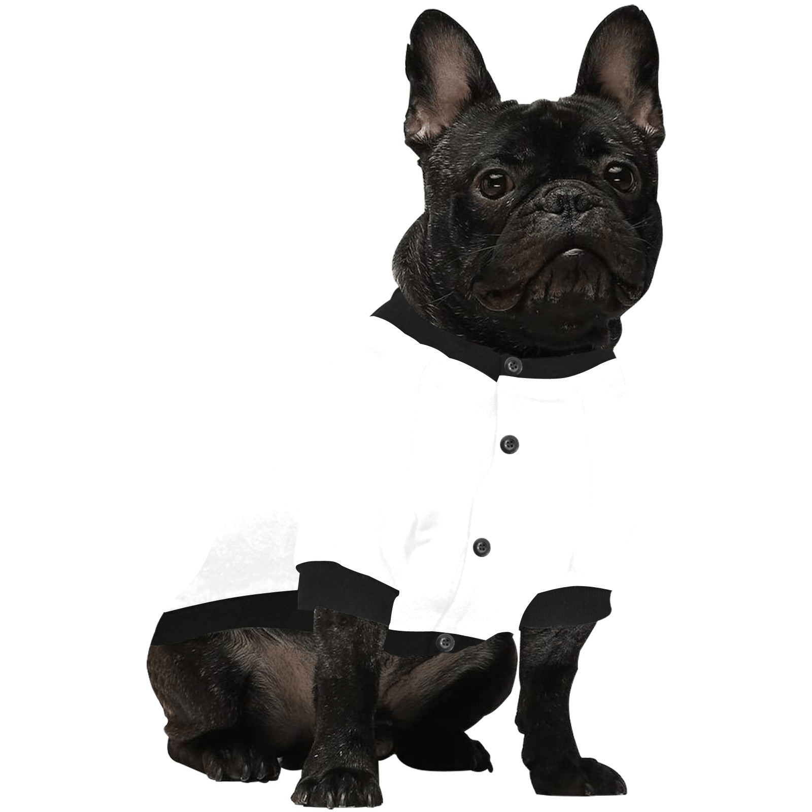 Pet Custom Shirt for Dogs and Cats